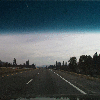 shasta1