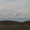 shasta2