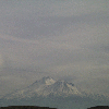 shasta3