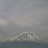 shasta4
