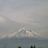 shasta6