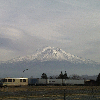 shasta7