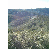 dscf0013
