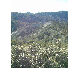 dscf0013