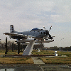 AD1