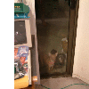 dscf0003