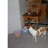 dscf0004