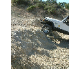 dscf0009