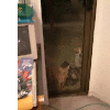 dscf0002