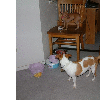 dscf0004