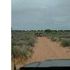 dscf0055