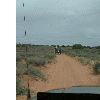 dscf0056