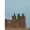 dscf0009