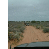 dscf0055