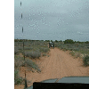dscf0056