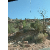 dscf0021