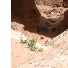 dscf0044