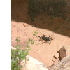 dscf0045