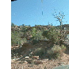 dscf0020