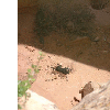dscf0043