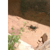 dscf0045