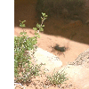 dscf0046