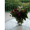 dscf0014