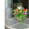 dscf0016
