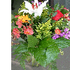 dscf0027