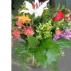dscf0027