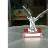 dscf0036