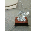 dscf0040