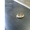 dscf0035