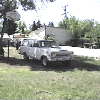 wag1