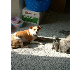 dscf0004