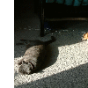 dscf0005