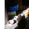 dscf0010