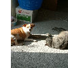 dscf0003
