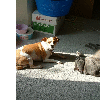 dscf0004