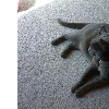 dscf0007