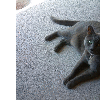 dscf0009
