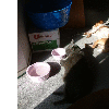 dscf0011